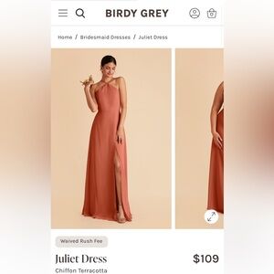 Birdy Grey Maxi Dress in Terracotta